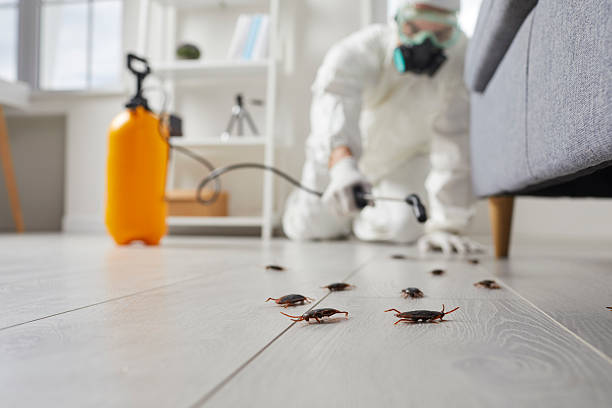 Commercial Kitchen Cockroach Control in Indio